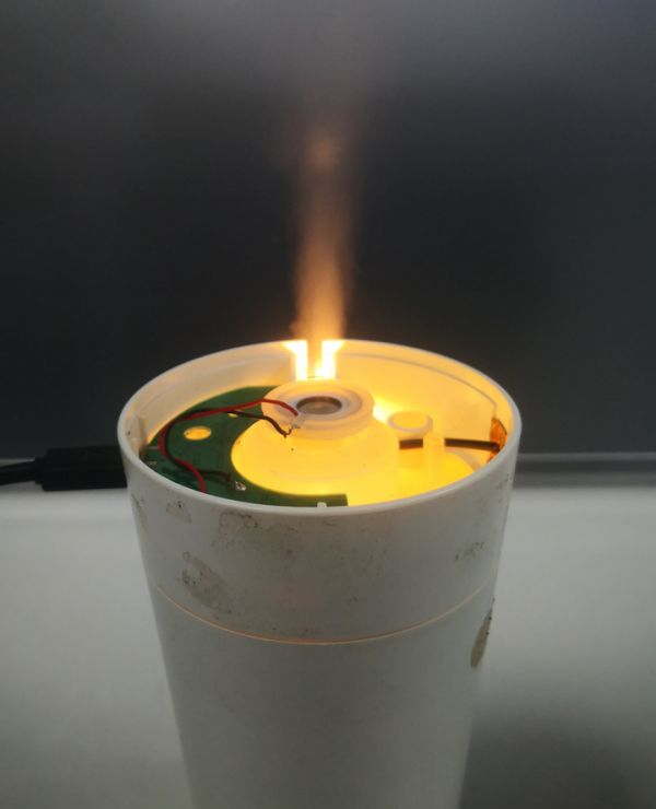 ӱ¼ʪ