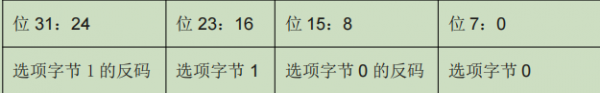 选项字节格式